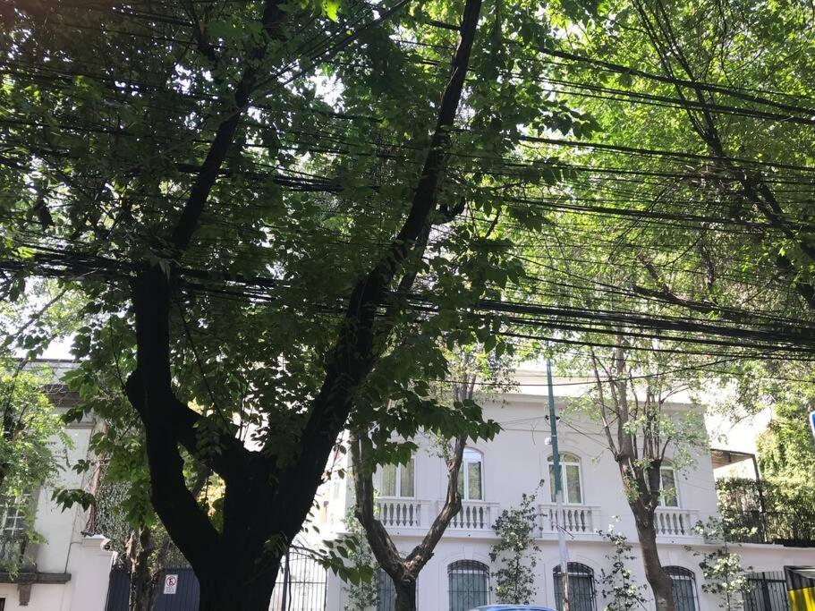 Excellent Location Renovated Apt. Roma/Condesa 1 Lägenhet Mexico City Exteriör bild